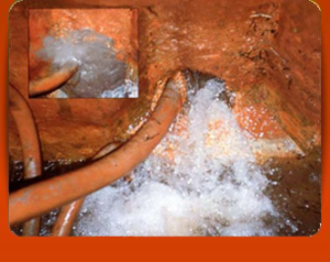 Benefits of Drizoro Maxplug Stops Running Water Instantly. Why Purchase from Waterproofing Shop,